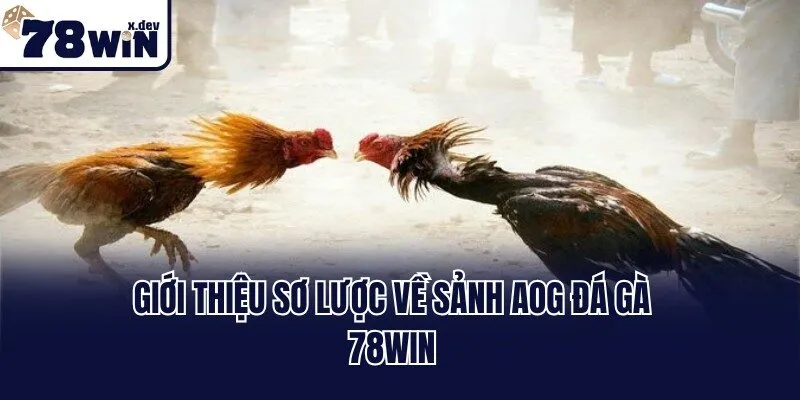 Giới thiệu sơ lược về sảnh AOG đá gà 78win