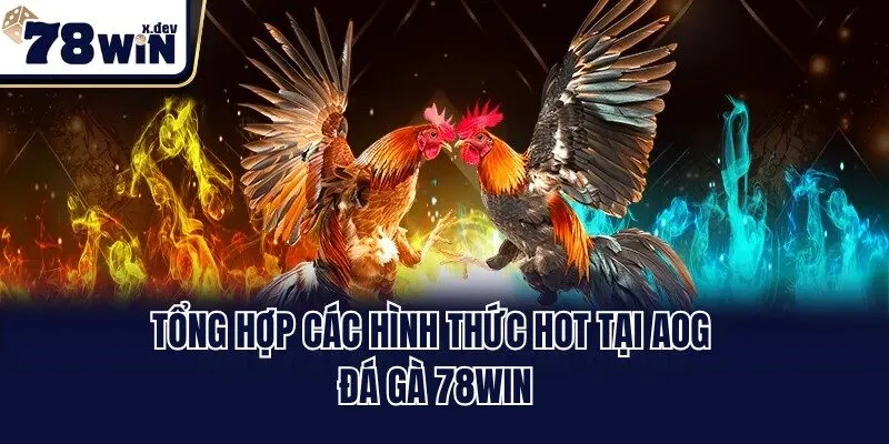Tổng hợp các hình thức hot tại AOG đá gà 78win